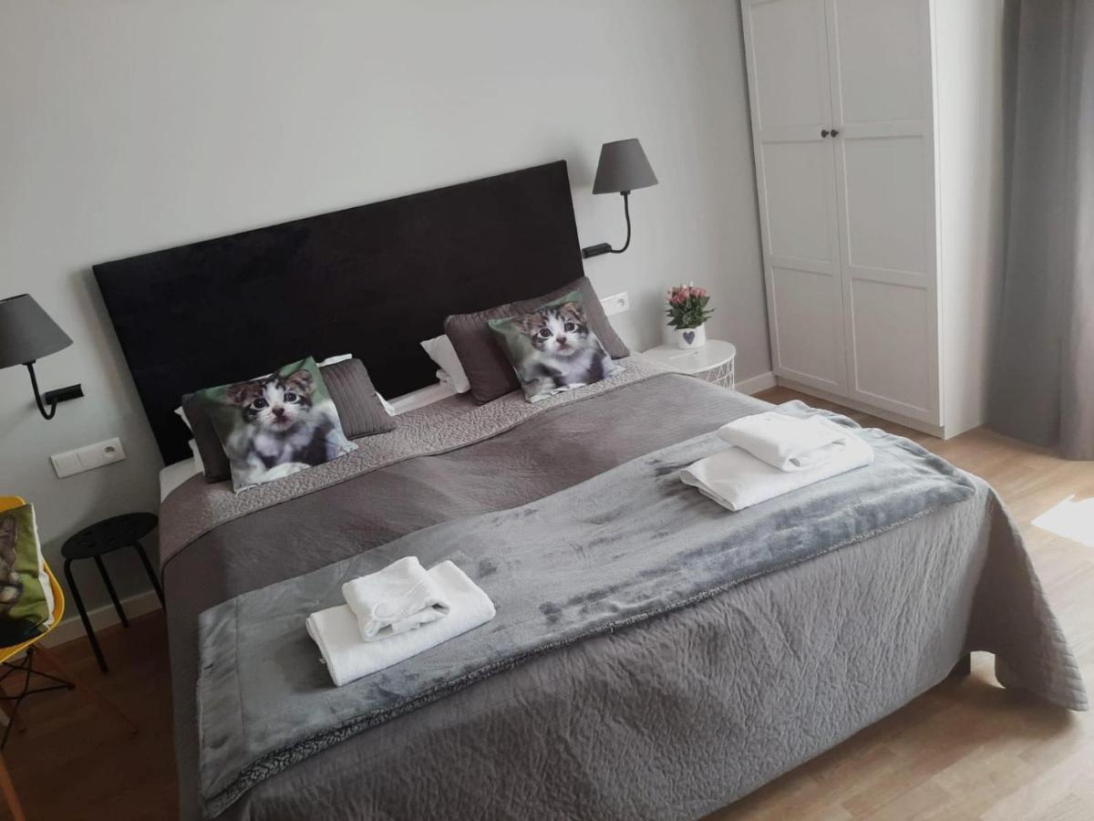 Apartamenty Koci Ogon Torun Ngoại thất bức ảnh