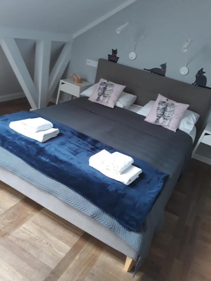 Apartamenty Koci Ogon Torun Ngoại thất bức ảnh