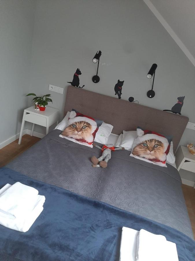 Apartamenty Koci Ogon Torun Ngoại thất bức ảnh