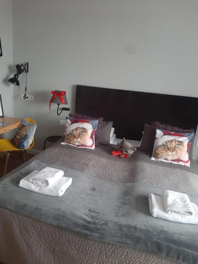 Apartamenty Koci Ogon Torun Ngoại thất bức ảnh